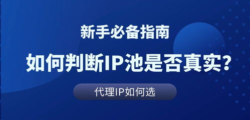 代理IP池解析與真實(shí)測評 科技推廣和應(yīng)用服務(wù)的核心工具
